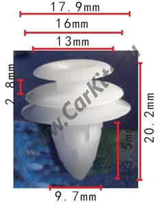 Изображение C244